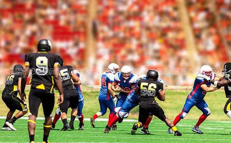 人人体育nba百度信誉