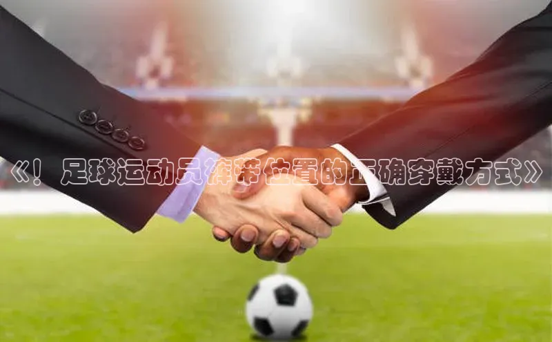 人人体育app官方版知乎