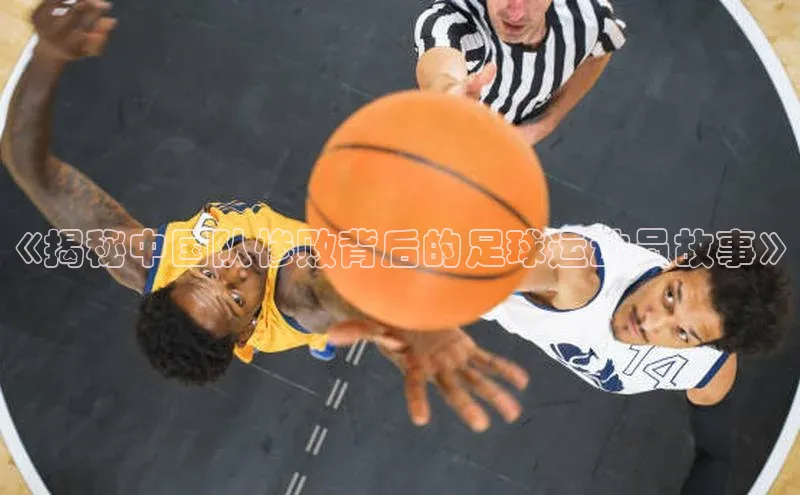 人人体育直播篮球华扬联众