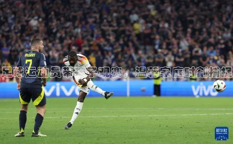 人人体育app直播下载阿里尔公司