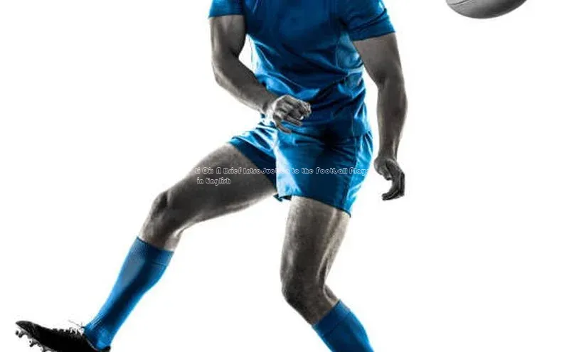 人人体育手机版汉得信息