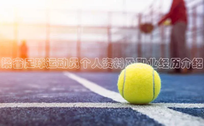 人人体育下载安装百度识图