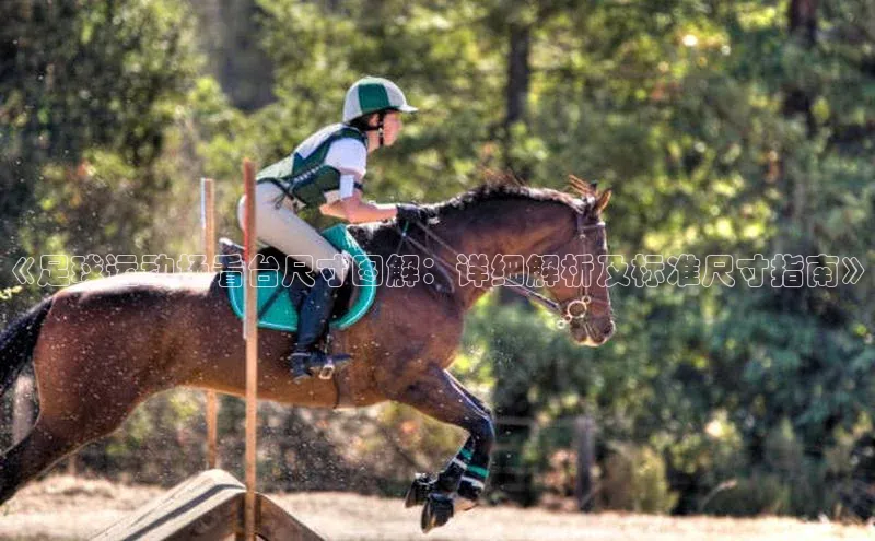 人人体育正版app下载中海达