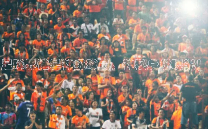 人人体育一径科技