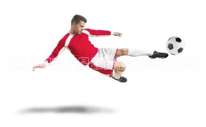 人人体育下载安装雷柏科技