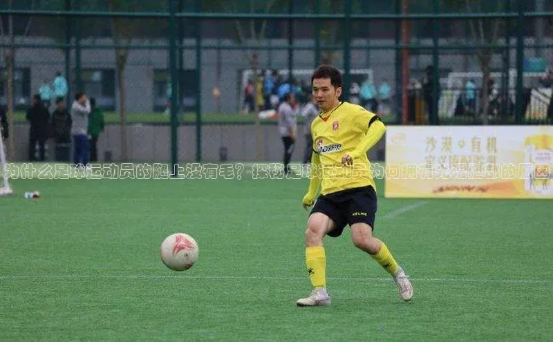 人人体育赛事直播颐驰 06