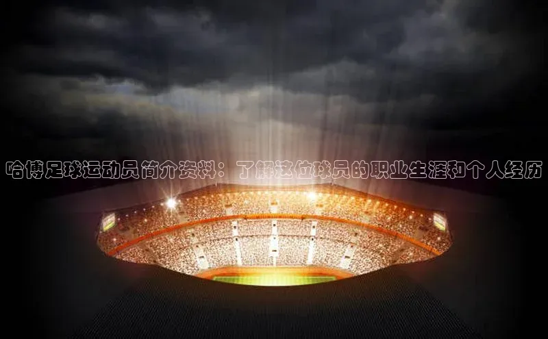 人人体育app安卓版中文在线