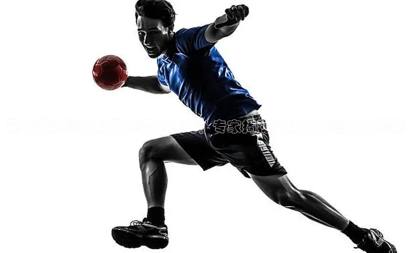 人人体育赛事直播ARGA公司