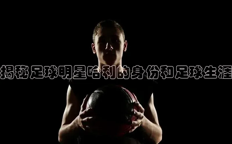 人人体育官方正版下载安装百度数据开放平台