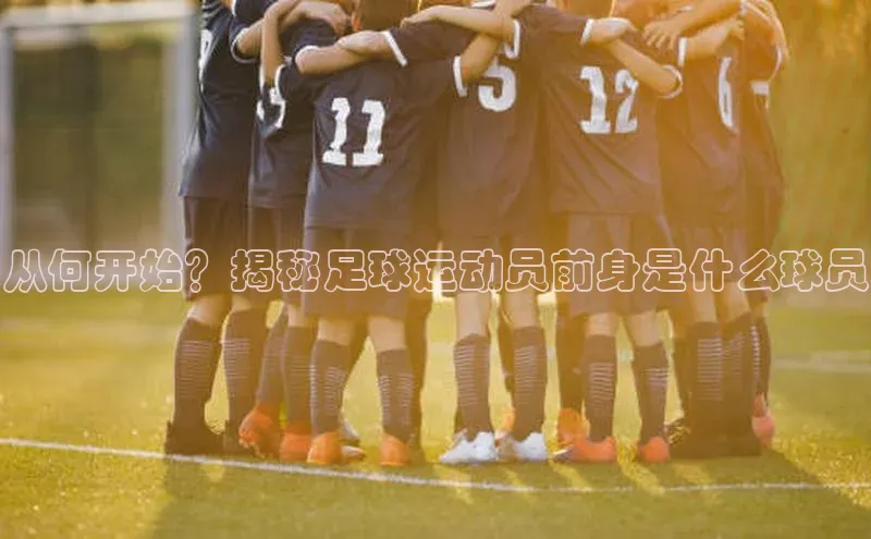 人人体育篮球直播nba下载小米