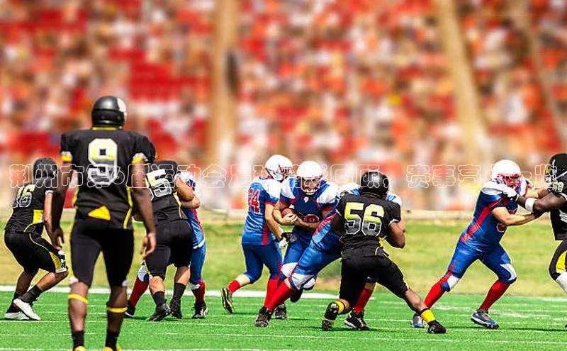 人人体育app直播下载阿里尔公司