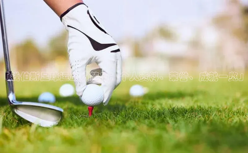 人人体育手机版汉得信息