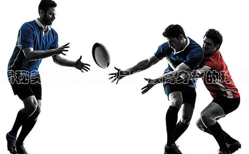 人人体育正版app下载如流