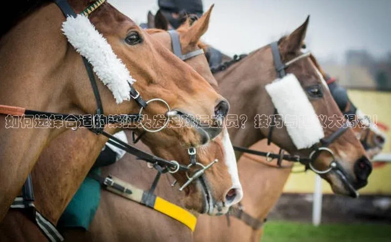 人人体育app官方版百度搜索资源平台