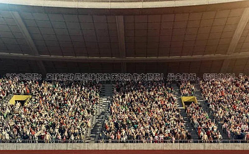 人人体育欧洲杯直播百度人工翻译