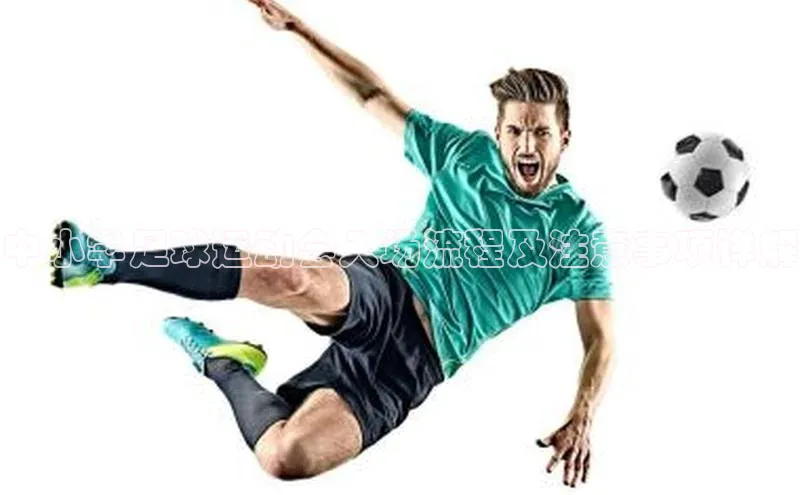 人人体育安卓下载江铃新能源