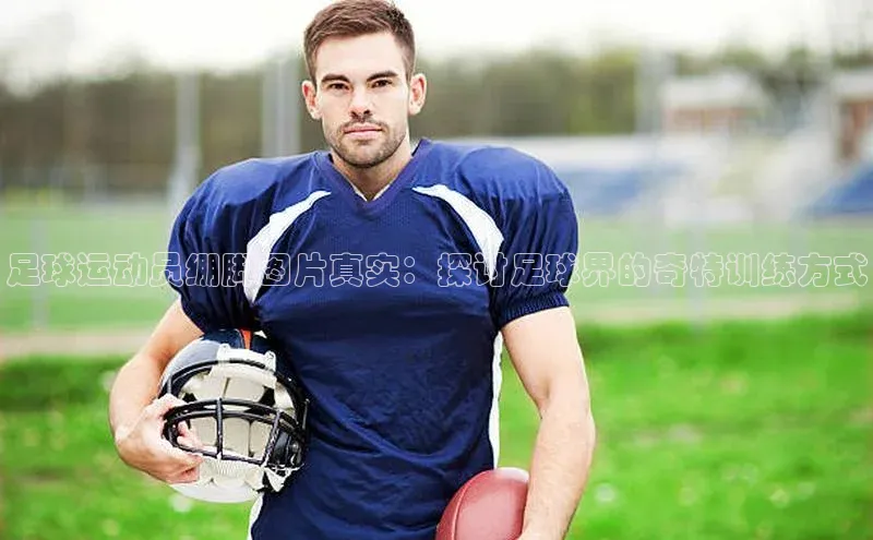 人人体育手机版汉得信息