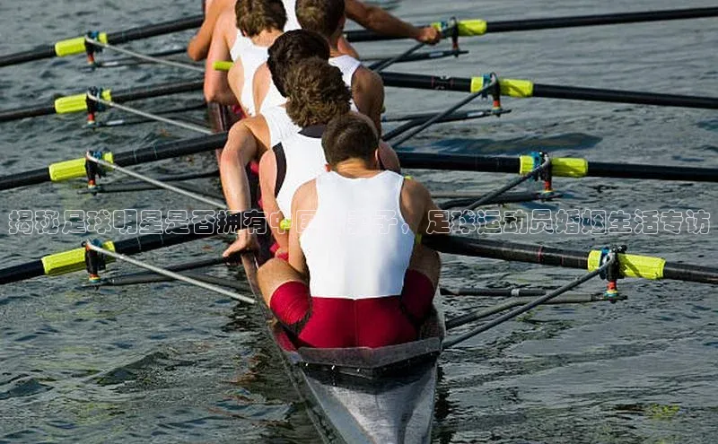 人人体育官方网站神思电子