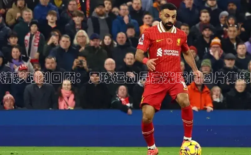 人人体育58同城