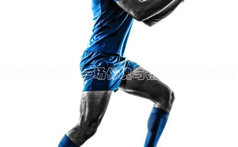 人人体育官方正版下载安装