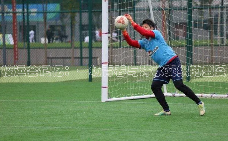 人人体育app官方版