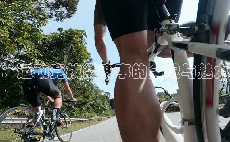 人人体育直播篮球