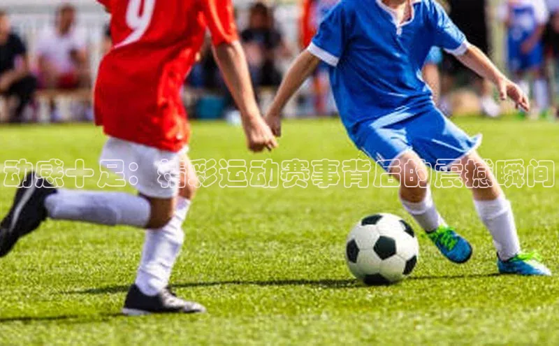 人人体育直播篮球