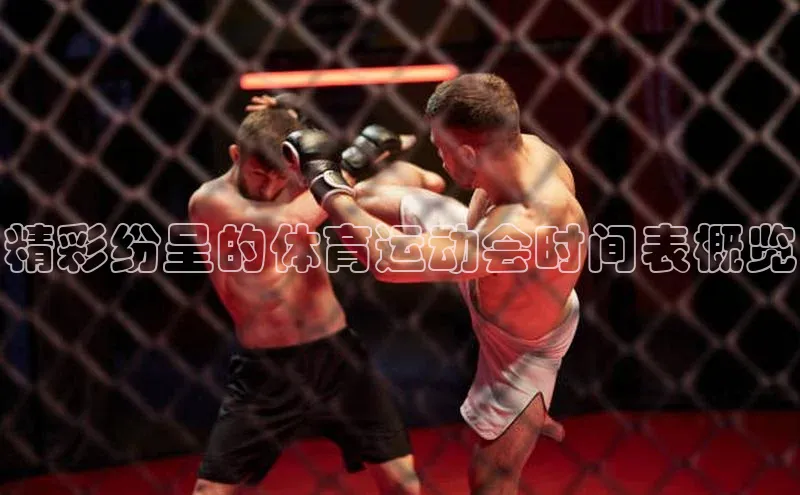 人人体育app下载安装