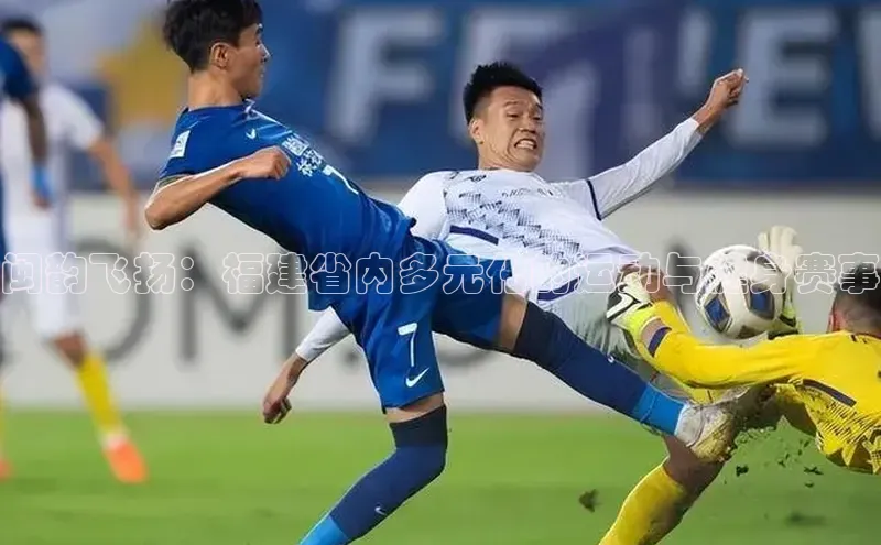 人人看球app下载