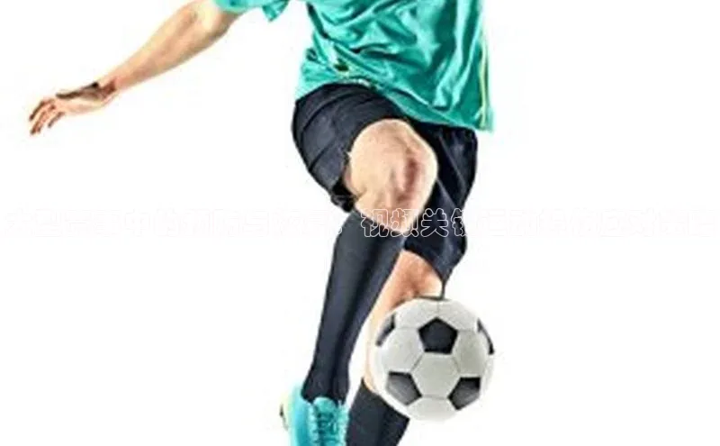 人人体育app直播下载