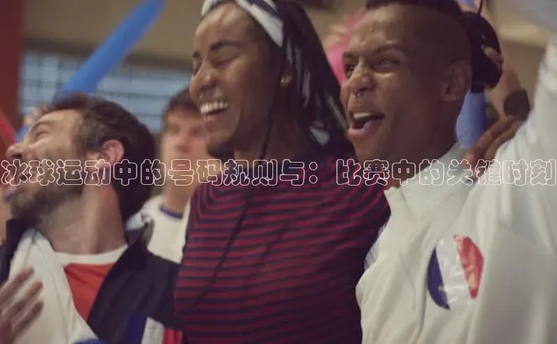 人人体育直播篮球