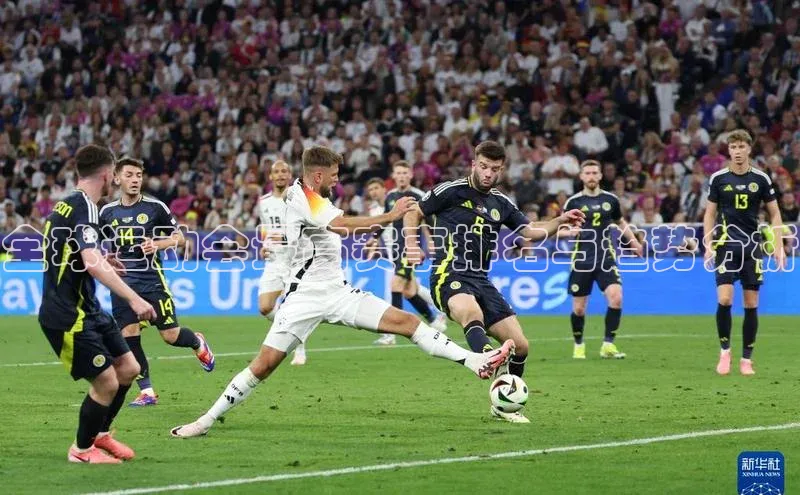 人人体育下载安装