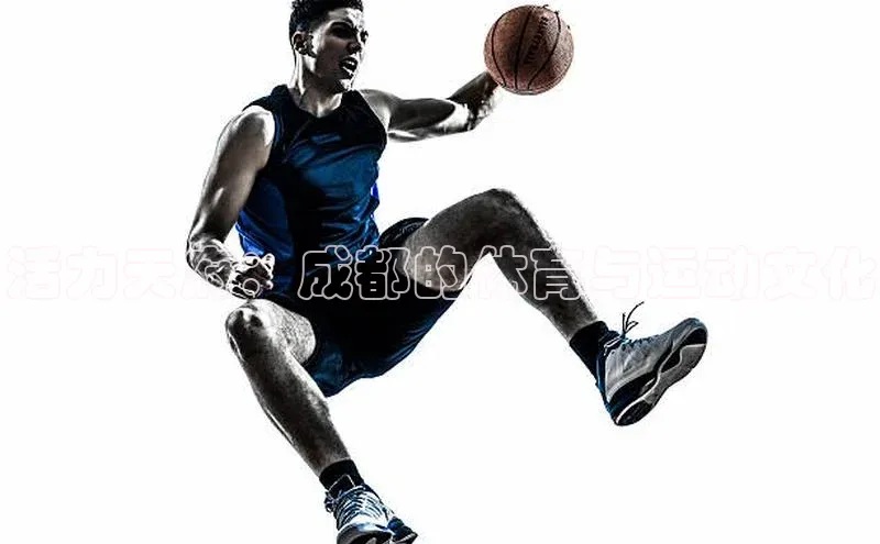 人人体育正版app下载