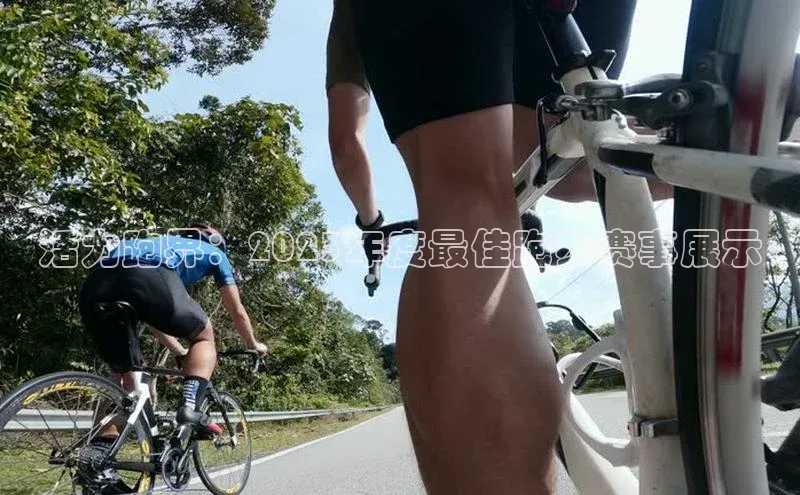 人人体育直播篮球