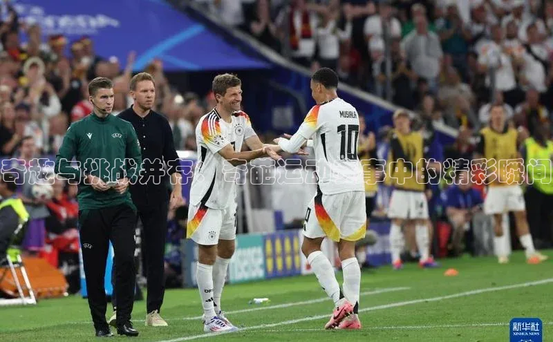 人人体育app官方版