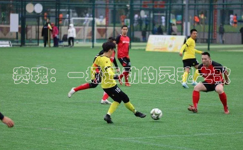 人人体育app安卓版