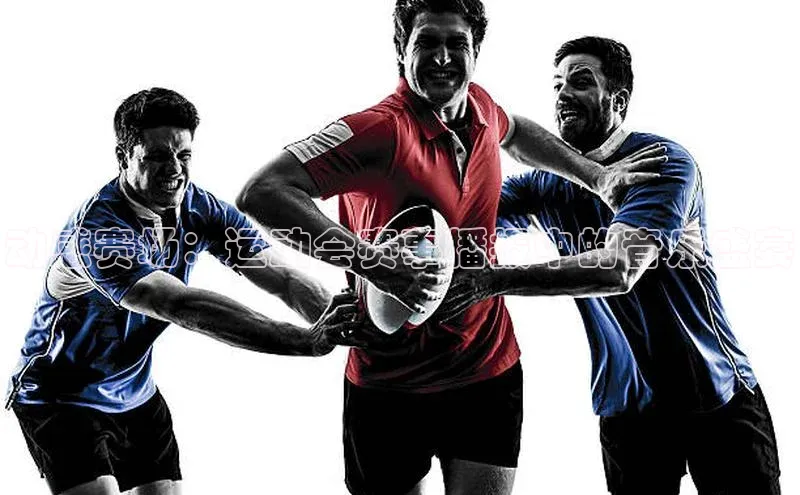 人人体育直播篮球