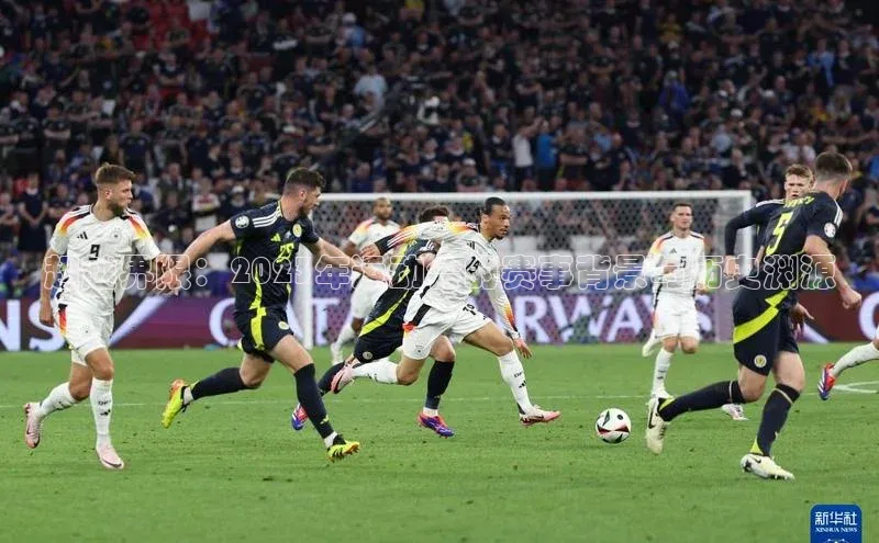 人人体育app官方版