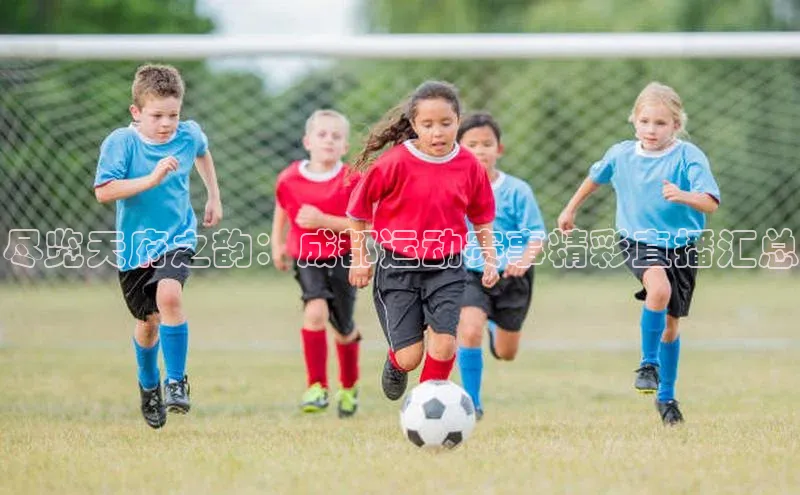 人人体育下载安装