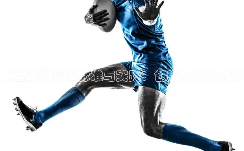 大型运动赛事标准与实践：创新与挑战分析